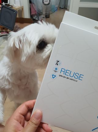 뽀오오옹님이 올린 리뷰 사진 1