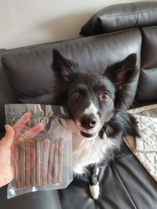 My Pet Care 천연단백질 치아건강에 개좋아 — 5점을 준 리뷰어가 2021년 2월 올린 사용 사진
