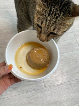 모카솜님이 올린 리뷰 사진 4