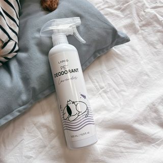 조이님이 올린 리뷰 사진 3