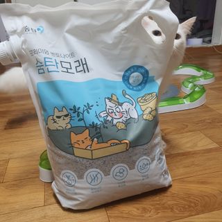 chk822님이 올린 리뷰 사진 1