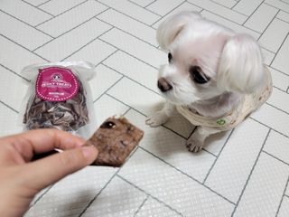 두부님이 올린 리뷰 사진 3
