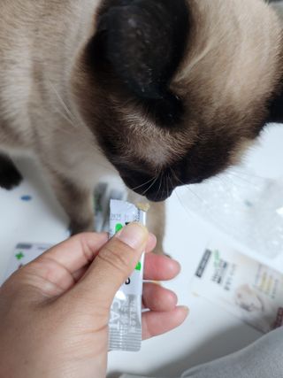 헤네짱님이 올린 리뷰 사진 4