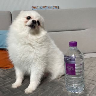 몽베스트 MONTBEST 1L 12입 — 5점을 준 리뷰어가 2022년 12월 올린 사용 사진