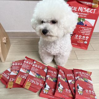 [푸디웜] 라포그  리얼인섹트 관절 저알러지 강아지 사료  1.2KG — 5점을 준 리뷰어가 2022년 8월 올린 사용 사진