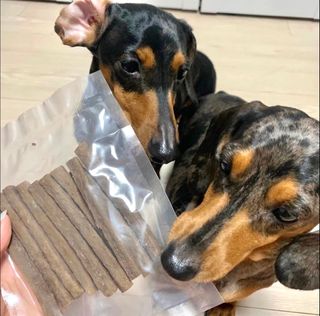 My Pet Care 천연단백질 치아건강에 개좋아 — 4.5점을 준 리뷰어가 2021년 1월 올린 사용 사진
