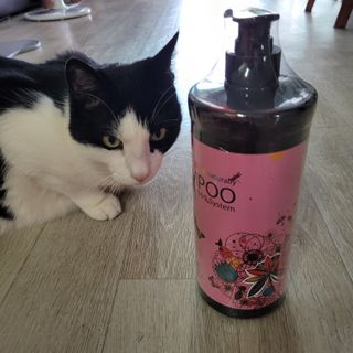 홍시님이 올린 리뷰 사진 1