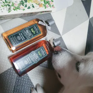 딸랑구둘🥰님이 올린 리뷰 사진 2