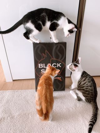 오둥이맘님이 올린 리뷰 사진 2