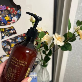 하이브리온 [쿠팡 구매평] 닥터초이스 시카엑소좀 판테놀 아미노산 탈모기능성 두피케어 모근강화 샴푸, 300ml, 1개 — 5점을 준 리뷰어가 2025년 3월 올린 사용 사진