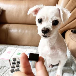 뽀히님이 올린 리뷰 사진 3