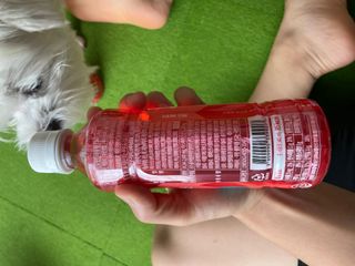 비케어드 생기레드에너지 이오틴 340ml 5개입 — 5점을 준 리뷰어가 2021년 7월 올린 사용 사진