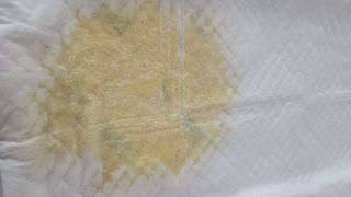 아베크 펫 와이드 프리미엄 대형 애견 강아지 배변 패드 30매 1팩 80g — 5점을 준 리뷰어가 2021년 7월 올린 사용 사진
