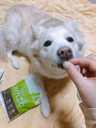 bori0924님이 올린 리뷰 사진 3