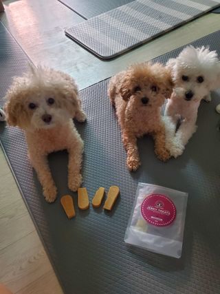 모모맘님이 올린 리뷰 사진 1