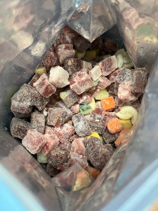 씽크라이크펫 큐브생식 1kg — 3.5점을 준 리뷰어가 2022년 11월 올린 사용 사진