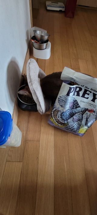 반짝님이 올린 리뷰 사진 3