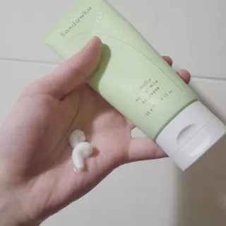 덤보님이 올린 리뷰 사진 2