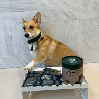 마리네집님이 올린 리뷰 사진 3