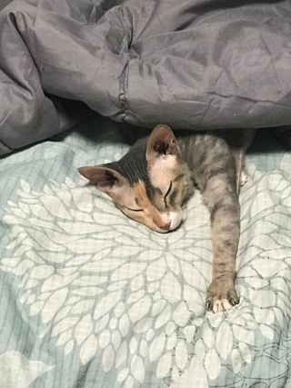 이아님이 올린 리뷰 사진 1