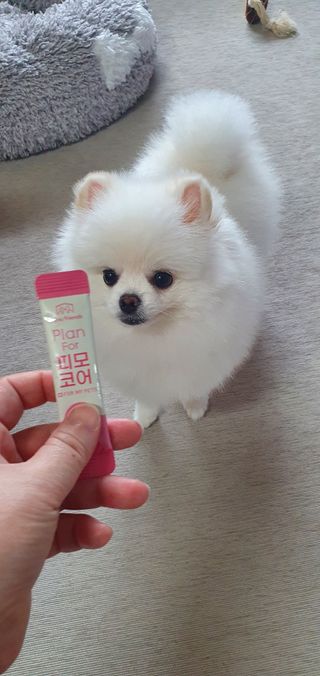 sunny❤님이 올린 리뷰 사진 4