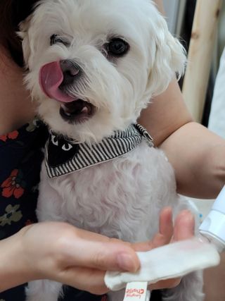 시우하늘맘님이 올린 리뷰 사진 3