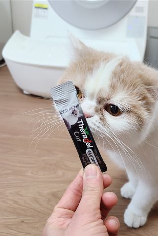 으나님이 올린 리뷰 사진 1