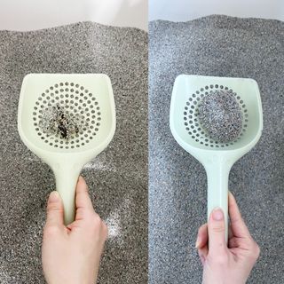 [미유박스] 울티메이트 벤토나이트 오리지널 11.8kg — 5점을 준 리뷰어가 2024년 6월 올린 사용 사진