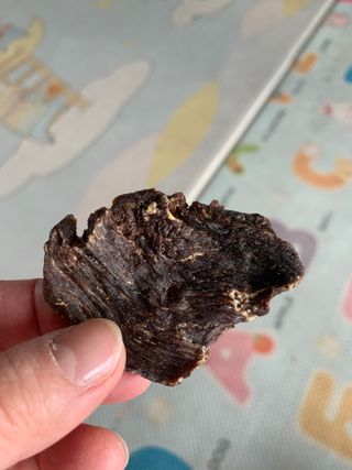 [졸리졸리] 말고기 육포 간식 (HORSE MEAT JERKY) — 5점을 준 리뷰어가 2023년 1월 올린 사용 사진