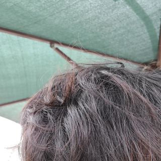 EugeneJang님이 올린 리뷰 사진 3