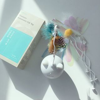 지니지나님이 올린 리뷰 사진 1