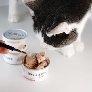 잇찌언니님이 올린 리뷰 사진 1