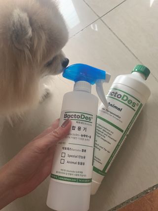 밍크마마님이 올린 리뷰 사진 2
