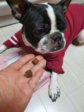 My Pet Care 천연단백질 관절건강에 개좋아 — 5점을 준 리뷰어가 2021년 2월 올린 사용 사진