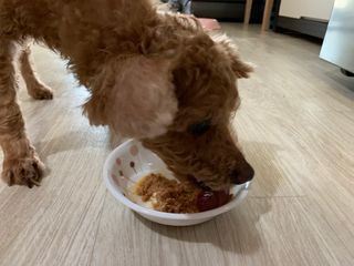 ZiunYang님이 올린 리뷰 사진 1