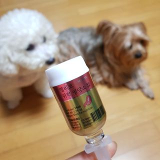 롤리팝님이 올린 리뷰 사진 1
