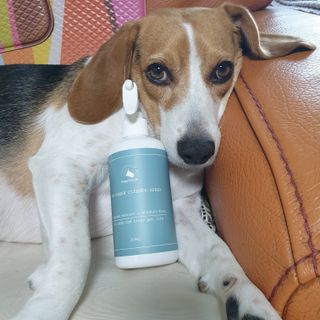 beaglelove님이 올린 리뷰 사진 1