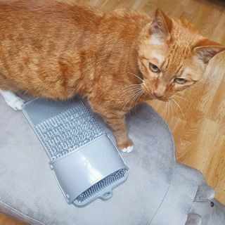 안젤라mj님이 올린 리뷰 사진 3