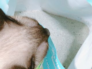 모닝스타님이 올린 리뷰 사진 3