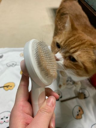 선짱님이 올린 리뷰 사진 3