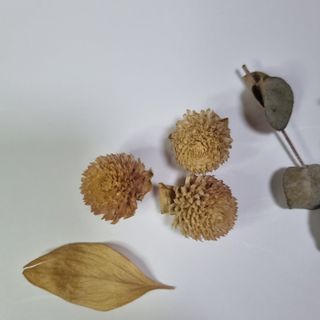 0.8L 마케팅팀 - — 5점을 준 리뷰어가 2021년 5월 올린 사용 사진