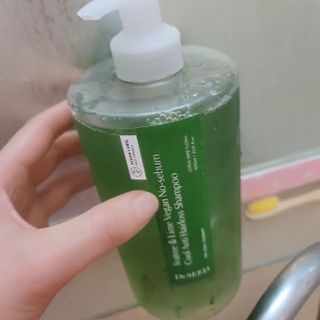 닥터시드 티트리 앤 라임 비건 지성케어 쿨 탈모 샴푸 (1000ml) — 5점을 준 리뷰어가 2023년 12월 올린 사용 사진