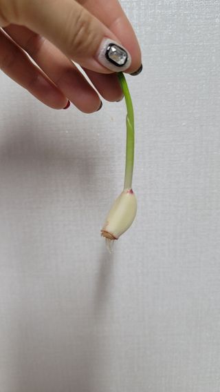 써니써니썬님이 올린 리뷰 사진 3