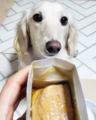 PDKIM님이 올린 리뷰 사진 2