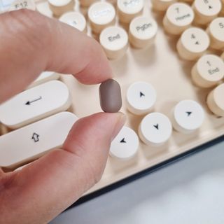 닥터피엔티 [Dr.PNT] 하루 2알로 건강한 다이어트! 한겨울에도 체지방만 쏙~ 슬림핏 다이어트 — 5점을 준 리뷰어가 2023년 3월 올린 사용 사진