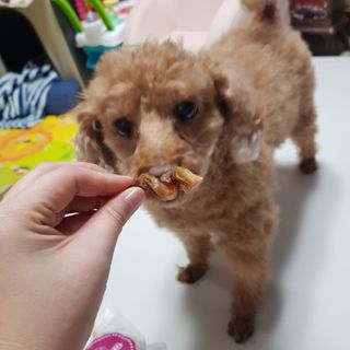 다둥맘님이 올린 리뷰 사진 2