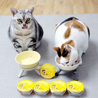 제니언니님이 올린 리뷰 사진 1