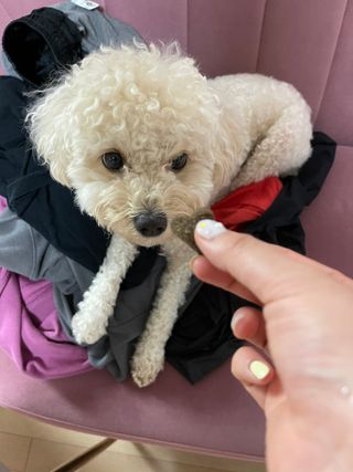 leah님이 올린 리뷰 사진 1