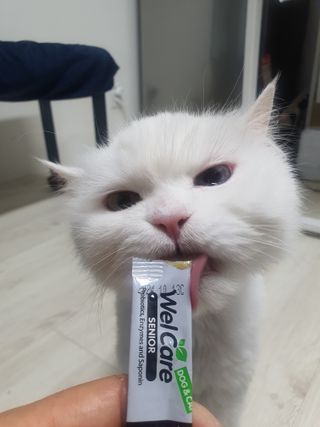 poochi님이 올린 리뷰 사진 3