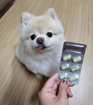 클린24시간 지중해로 쏙빠지다 1SET (800mg*60정) — 4점을 준 리뷰어가 2022년 11월 올린 사용 사진